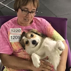 Meet your Posher, Dana